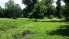 20170701_124944.jpg
