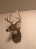 IMG_3386.JPG