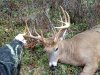 '12 buck 1.JPG