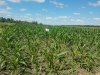 20170715_152604.jpg