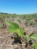 20170716_140319.jpg