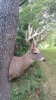 20170730_102852.jpg
