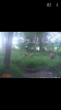 Screenshot_2017-08-01-18-19-02.png