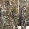 Gulch|CrossCover|Brown04.jpg