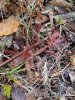20161126_074857.jpg