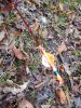 20161126_074710.jpg