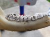 20170809_172423.jpg