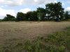 20170809_180428.jpg