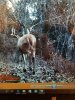 20170212_174439.jpg