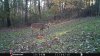 FB_IMG_1479273629032.jpg