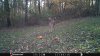 FB_IMG_1479325081248.jpg