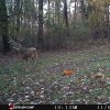 IMG_20161116_002736.jpg