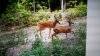20170806_171403.jpg