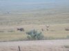 IMG_20170818_201033.jpg