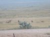 IMG_20170818_201014.jpg