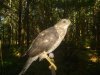 DSC00119.JPG
