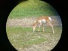 IMG_20170819_103111.jpg