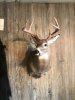 2016 MA 8 Pt Mount 2.JPG