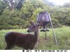 DSCF0022.JPG