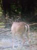 20170823_211625.jpg