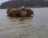 20161223_080712-1.jpg