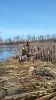 20161208_105130.jpg