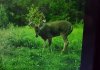 20170830_112531.jpg
