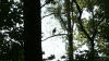 IMG_1799.PNG