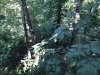 IMG_1806.JPG