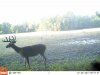 corner cam 1 161.JPG