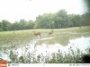 corner cam 1 855.JPG