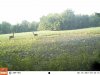 corner cam 1 1015.JPG