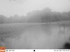 corner cam 1 1118.JPG