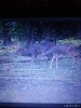 20170917_082017.jpg