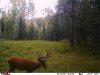 8-20-17 Elk Wallow.JPG