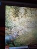 20170917_172420.jpg