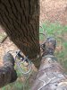 saddle set-up (4).JPG