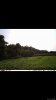 food plot update.jpg
