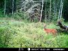 MDGC01 (280).JPG