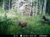 MDGC01 (339).JPG