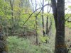 IMG_1140.JPG