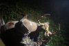 DSC07930.jpg