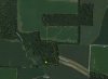 Buck Track.jpg
