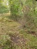 IMG_3321.JPG