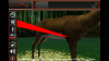12345.PNG