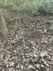 2F6BD68C-3106-40DA-A090-8C974F77BAD1.jpeg