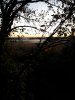 20171018_072557.jpg