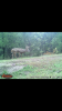 Screenshot_20171018-092730.png