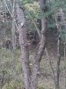 20171018_183938.jpg