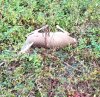 20171021_221420.jpg